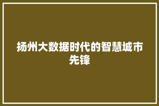 扬州大数据时代的智慧城市先锋 扬州大数据时代的智慧城市先锋