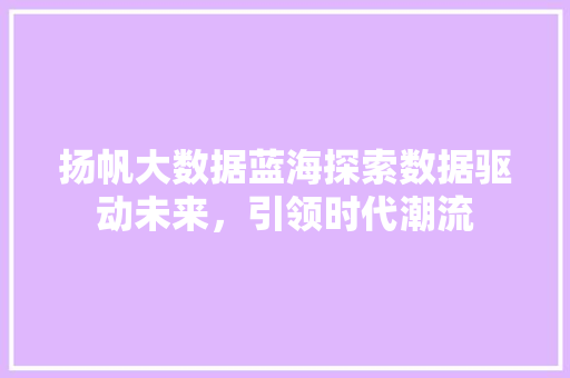 扬帆大数据蓝海探索数据驱动未来，引领时代潮流