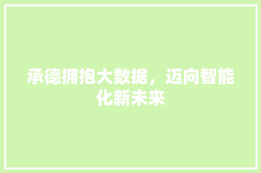 承德拥抱大数据，迈向智能化新未来