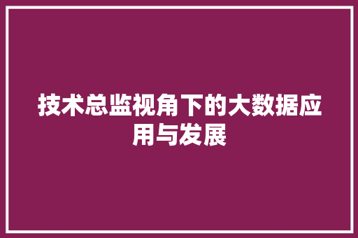 技术总监视角下的大数据应用与发展