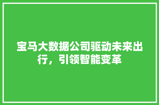 宝马大数据公司驱动未来出行，引领智能变革