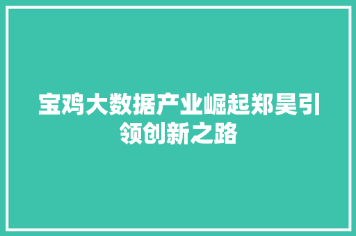 宝鸡大数据产业崛起郑昊引领创新之路