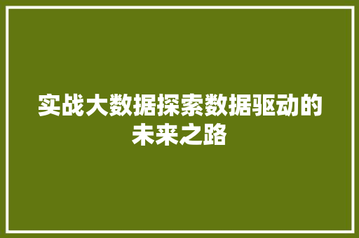 实战大数据探索数据驱动的未来之路 实战大数据探索数据驱动的未来之路