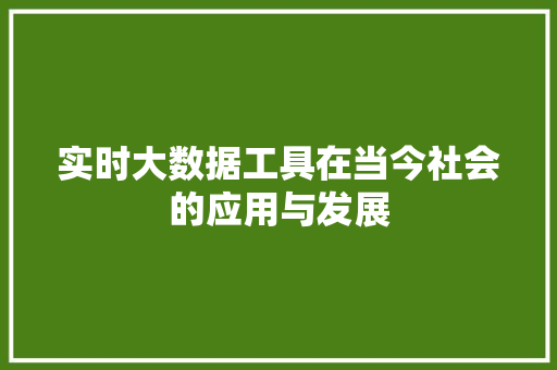 实时大数据工具在当今社会的应用与发展 实时大数据工具在当今社会的应用与发展
