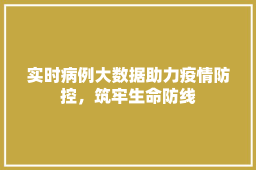 实时病例大数据助力疫情防控，筑牢生命防线