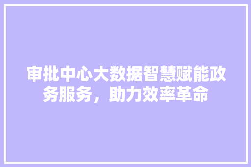 审批中心大数据智慧赋能政务服务，助力效率革命