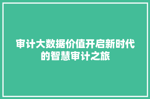 审计大数据价值开启新时代的智慧审计之旅