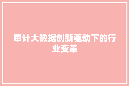 审计大数据创新驱动下的行业变革 审计大数据创新驱动下的行业变革