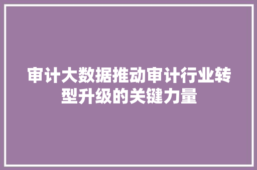 审计大数据推动审计行业转型升级的关键力量 审计大数据推动审计行业转型升级的关键力量