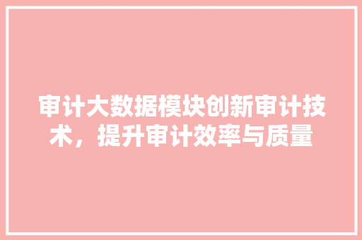审计大数据模块创新审计技术,提升审计效率与质量 审计大数据模块创新审计技术,提升审计效率与质量