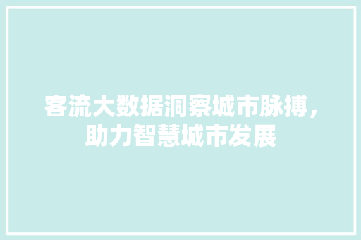 客流大数据洞察城市脉搏,助力智慧城市发展 客流大数据洞察城市脉搏,助力智慧城市发展