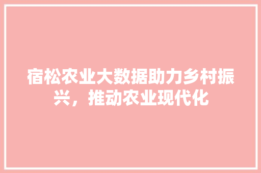 宿松农业大数据助力乡村振兴，推动农业现代化