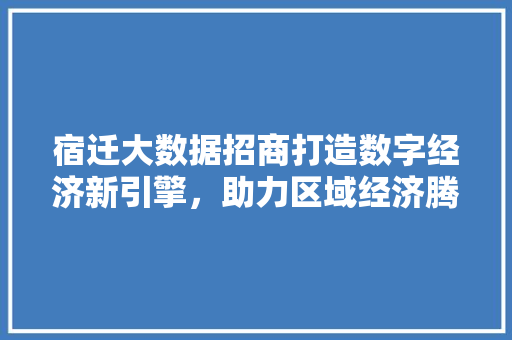 宿迁大数据招商打造数字经济新引擎,助力区域经济腾飞 宿迁大数据招商打造数字经济新引擎,助力区域经济腾飞