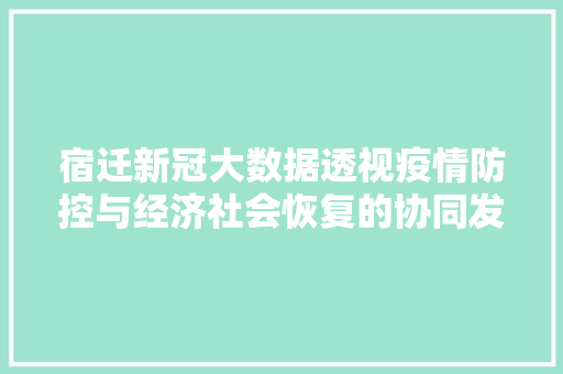 宿迁新冠大数据透视疫情防控与经济社会恢复的协同发展