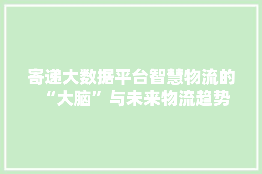 寄递大数据平台智慧物流的“大脑”与未来物流趋势