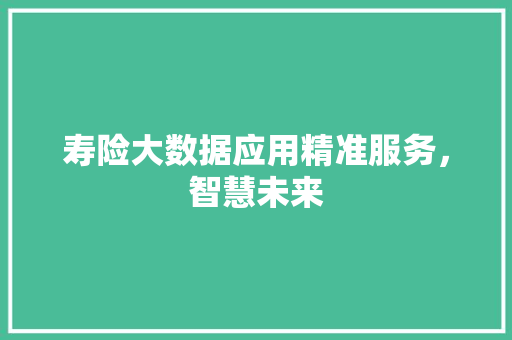 寿险大数据应用精准服务,智慧未来 寿险大数据应用精准服务,智慧未来