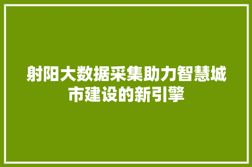 射阳大数据采集助力智慧城市建设的新引擎 射阳大数据采集助力智慧城市建设的新引擎