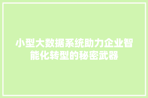 小型大数据系统助力企业智能化转型的秘密武器