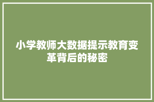 小学教师大数据提示教育变革背后的秘密 小学教师大数据提示教育变革背后的秘密