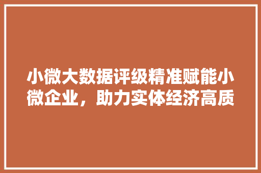 小微大数据评级精准赋能小微企业，助力实体经济高质量发展 网络技术