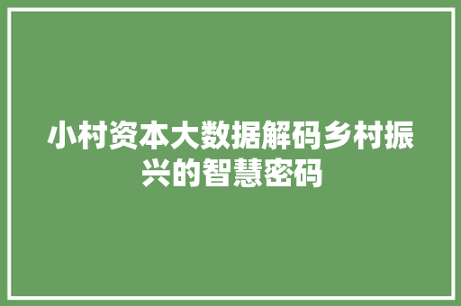 小村资本大数据解码乡村振兴的智慧密码