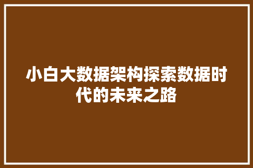 小白大数据架构探索数据时代的未来之路