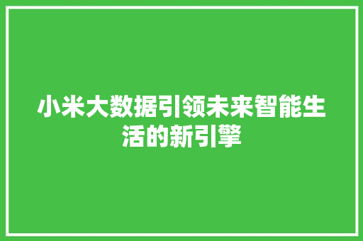 小米大数据引领未来智能生活的新引擎