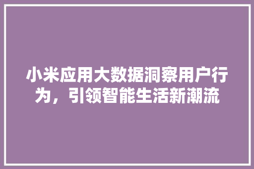 小米应用大数据洞察用户行为，引领智能生活新潮流