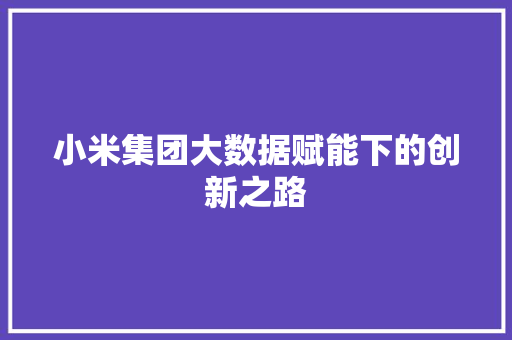 小米集团大数据赋能下的创新之路