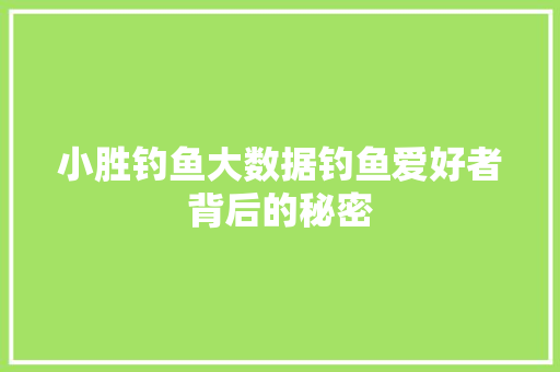 小胜钓鱼大数据钓鱼爱好者背后的秘密 编程语言