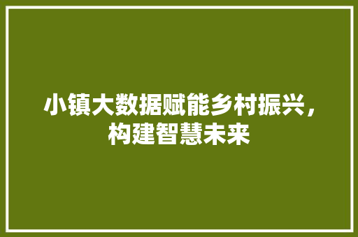 小镇大数据赋能乡村振兴，构建智慧未来