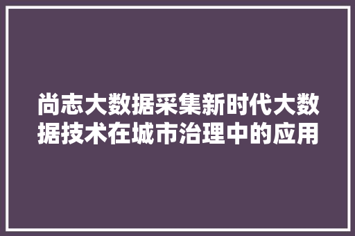 尚志大数据采集新时代大数据技术在城市治理中的应用与创新