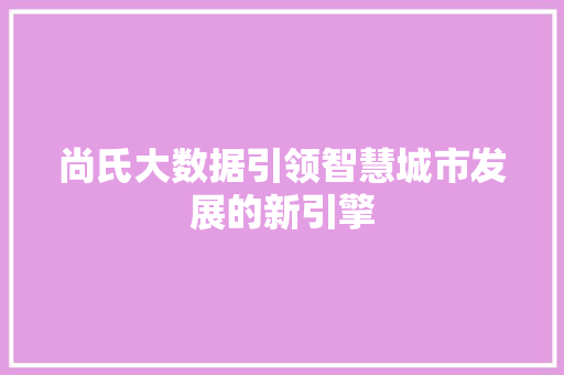 尚氏大数据引领智慧城市发展的新引擎