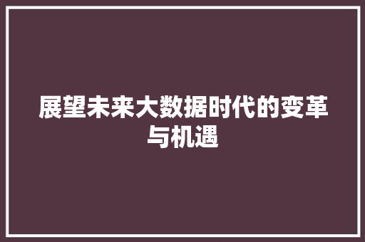 展望未来大数据时代的变革与机遇