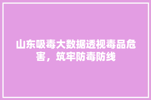 山东吸毒大数据透视毒品危害，筑牢防毒防线