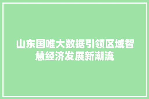山东国唯大数据引领区域智慧经济发展新潮流 电脑故障维修 山东国唯大数据引领区域智慧经济发展新潮流 电脑故障维修