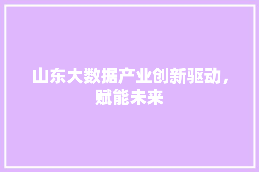 山东大数据产业创新驱动，赋能未来 电脑基础
