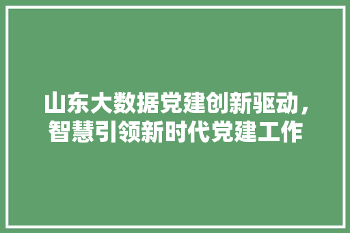 山东大数据党建创新驱动，智慧引领新时代党建工作 电脑故障维修