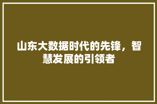 山东大数据时代的先锋，智慧发展的引领者