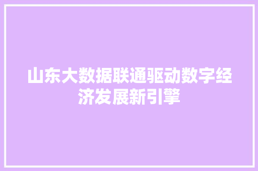 山东大数据联通驱动数字经济发展新引擎