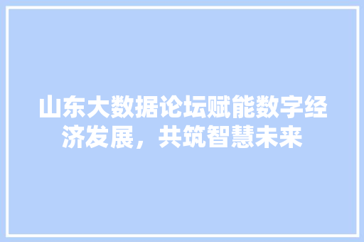 山东大数据论坛赋能数字经济发展，共筑智慧未来