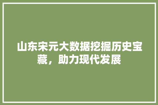 山东宋元大数据挖掘历史宝藏，助力现代发展