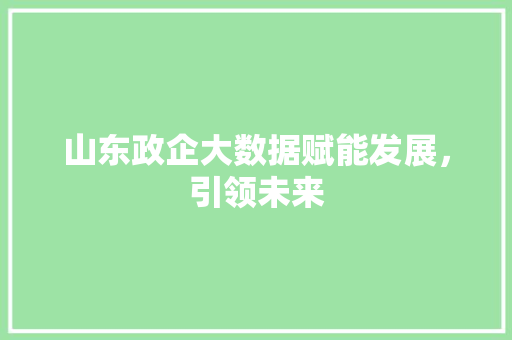 山东政企大数据赋能发展，引领未来