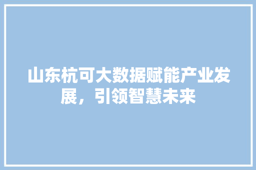 山东杭可大数据赋能产业发展，引领智慧未来