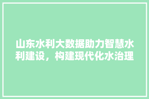 山东水利大数据助力智慧水利建设，构建现代化水治理体系 网络技术