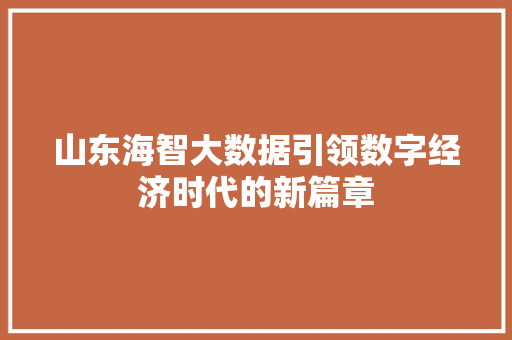山东海智大数据引领数字经济时代的新篇章