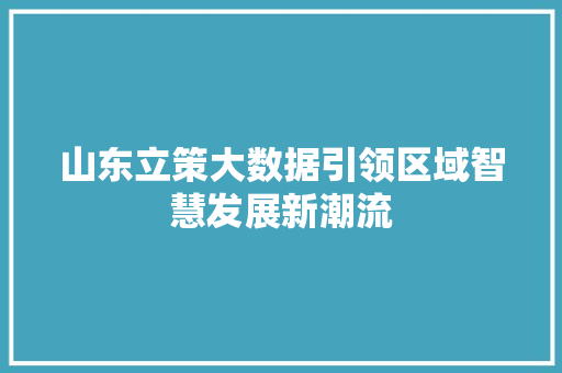 山东立策大数据引领区域智慧发展新潮流