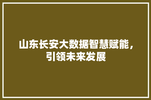 山东长安大数据智慧赋能，引领未来发展