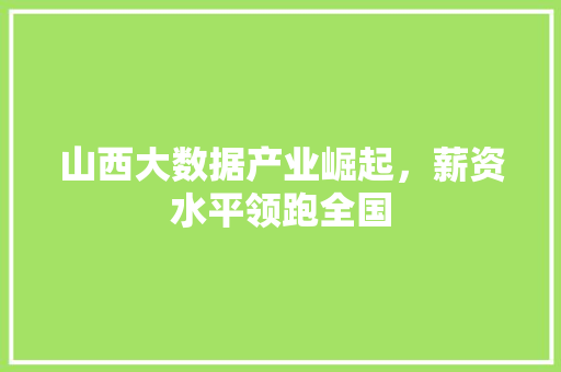 山西大数据产业崛起，薪资水平领跑全国