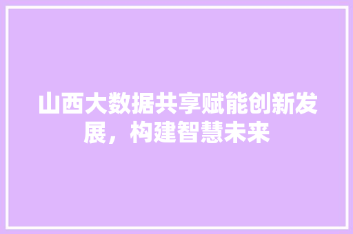 山西大数据共享赋能创新发展，构建智慧未来
